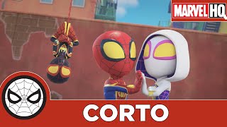 Spidey y sus sorprendentes amigos l La canción arácnida by Marvel HQ LA 873,187 views 2 months ago 3 minutes, 7 seconds