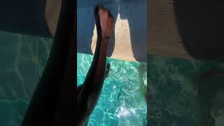 who does it better asmr #asmr #lofiasmr #poolasmr #relax