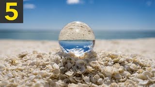 Top 5 Most BEAUTIFUL Beach Shells
