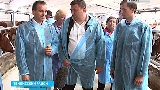 Кондратьев: для Тбилисского района нужен бизнес-план Кондратьев: для Тбилисского района нужен бизнес-план