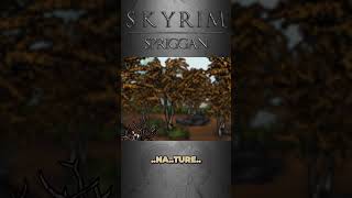 Senile Scribbles: Skyrim - Spriggan