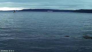 Dash Point Tacoma WA USA time lapse