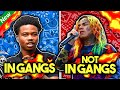 RAPPERS IN GANGS VS RAPPERS NOT IN GANGS!