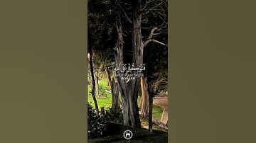 سورة النمل _ القارئ / اسلام صبحي