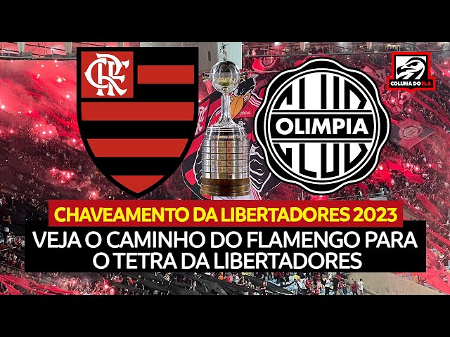 Veja o que o Flamengo precisa para se classificar na Libertadores - Coluna  do Fla