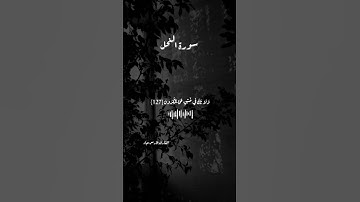 سورة النحل {وَاصْبِرْ وَمَا صَبْرُكَ إِلَّا بِاللَّهِ ۚ }  القارئ:فارس عباد