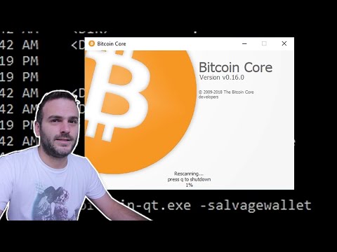 Using salvagewallet to save a corrupt Bitcoin Wallet file