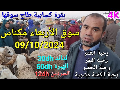 أثمنة الغنم والبقر واللحوم والخضر سوق الأربعاء صوريا مكناس اليوم 09 10 2024