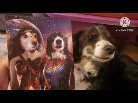 Turn your pets into superheroes! Furryroyal pet portrait!