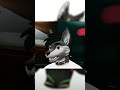 Рофельный совет от Роско #shorts #роско #реди #совет #детдом #furry #фурри #юмор #реакция #рофл