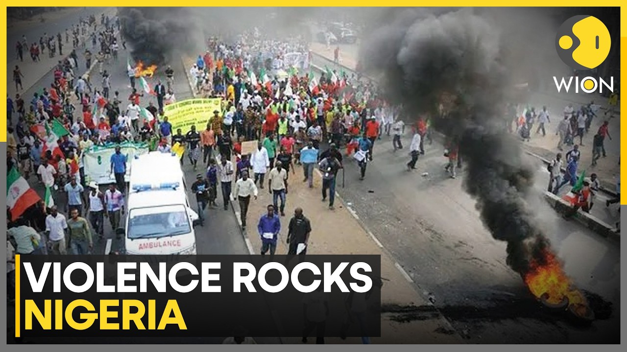 Violence Continues In Nigeria: At Least 30 Killed In Kaduna Village Raid, Children Among Dead | WION