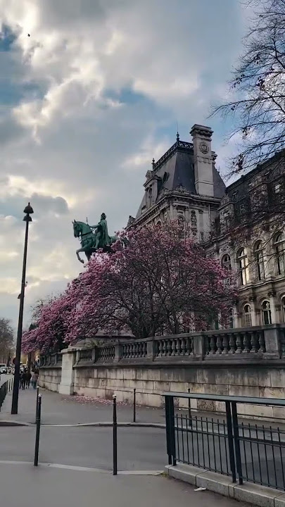 beaux magnolias devant l'Hôtel de Ville spring #paris #flowers #travel #trending #Amazing #shorts