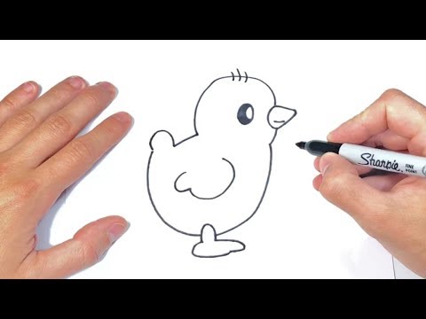 Video: Cómo Dibujar Un Pollo Paso A Paso