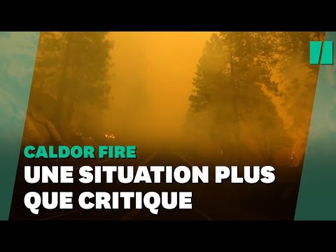 Vidéo: Contenu Des Vers Rouges De Californie