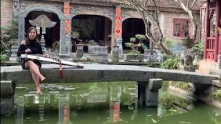 Moonlight lotus pond - Vietnamese Zither