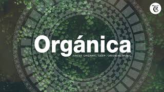 ORGANICA MIX l Finest Organic & Ethno Deep House Music | Dj mix by Marga Sol