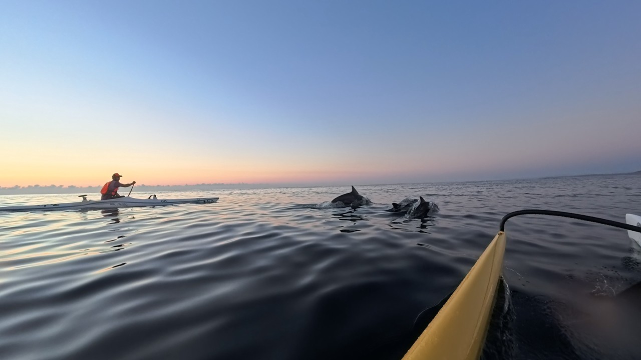 OC1 Training - Dolphins + Last sesh in Aus