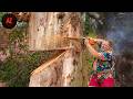 Idiots With Chainsaws: Tree Cutting Fails | Extreme Dangerous Logging Truck Fails #86