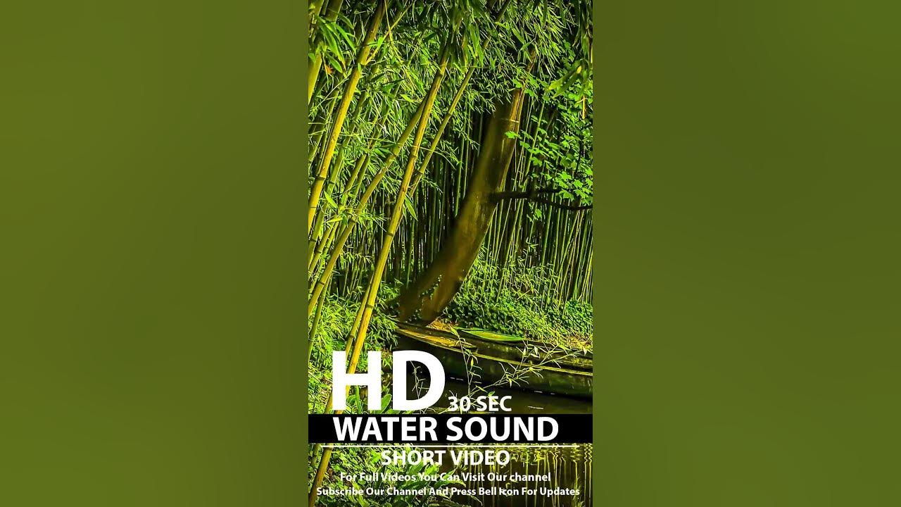 Emotional Healing and Stop Anxiety to Sleep Instantly with Dripping Water Sound YouTube