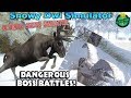 🦉Snowy Owl Simulator-DANGEROUS BOSS BATTLES!-Ultimate Arctic Simulator-By Gluten Free games
