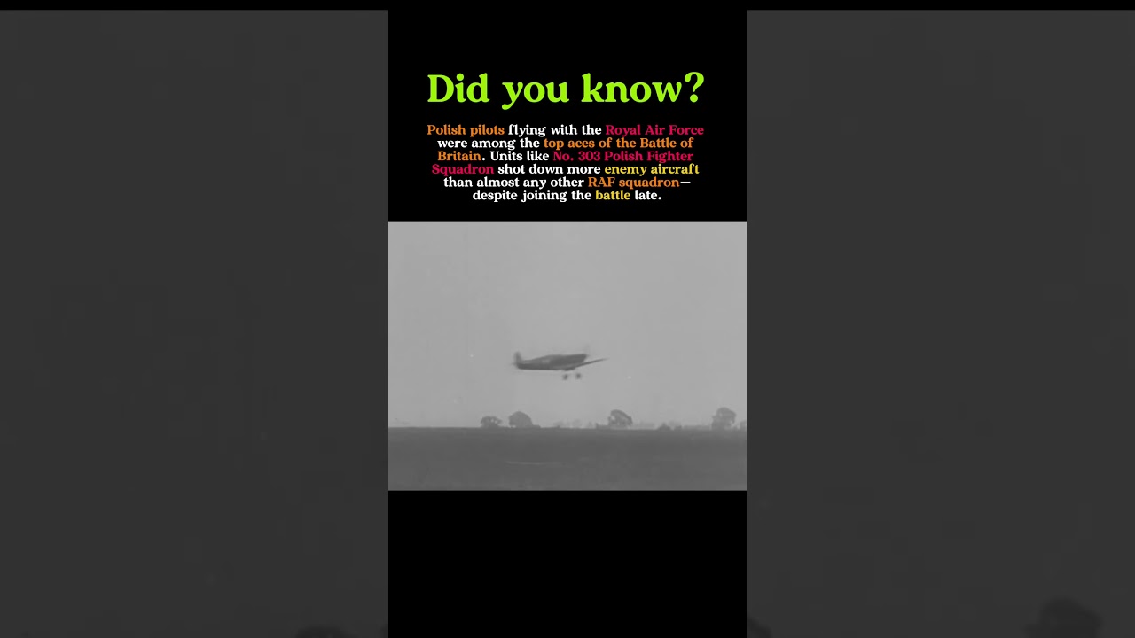 No. 303 Squadron: The Deadliest RAF Unit of 1940