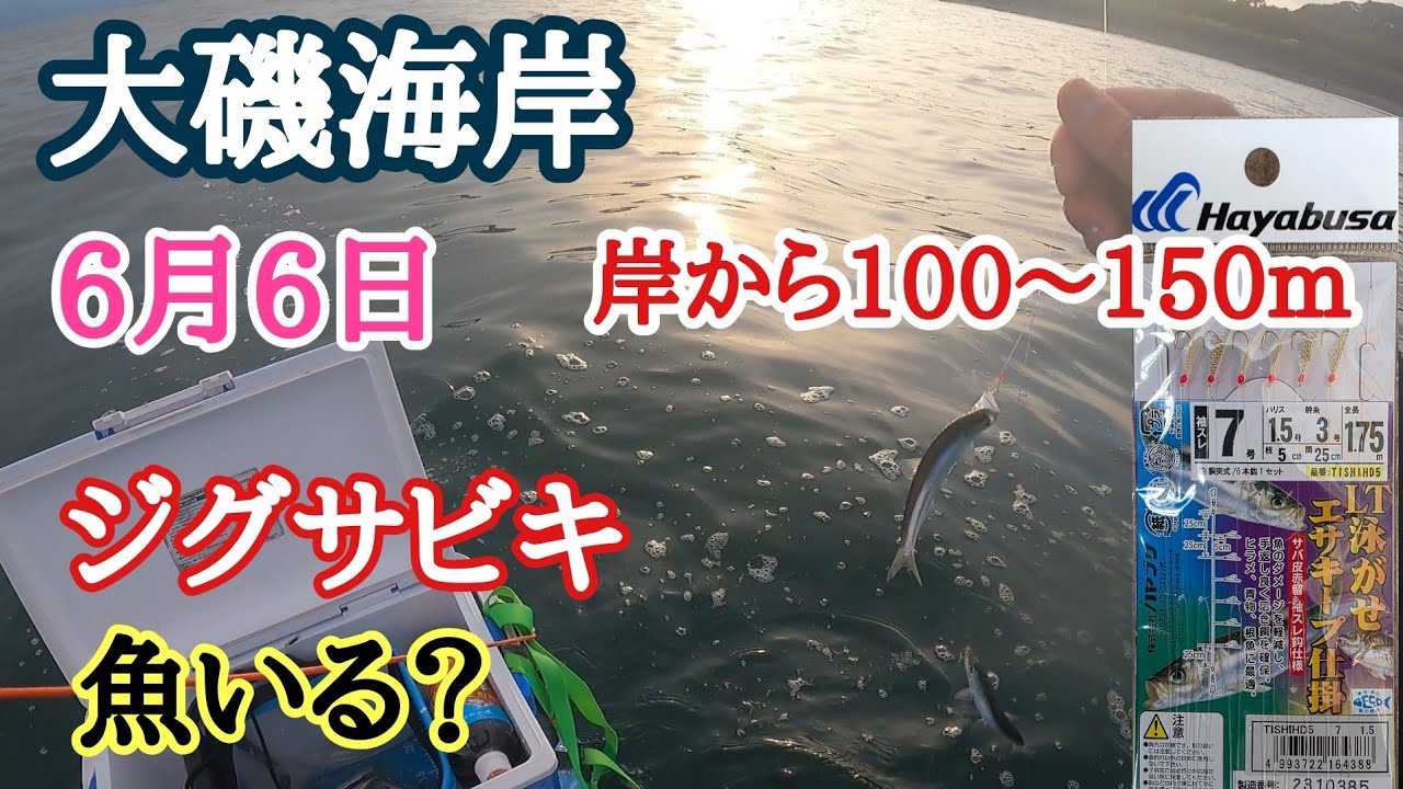 海磯などでフィッシングやられる方　必見 大磯海岸】6月6日(土)夕方 岸から100〜150mに魚はいる？ジグサビキで
