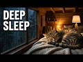 Rainy Night in the Cabin | Calming Cat Purrs & Heavy Rain ASMR