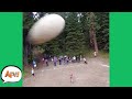 Drone DOWNED by ROGUE BALL! 😅 | Funny Fails | AFV 2021