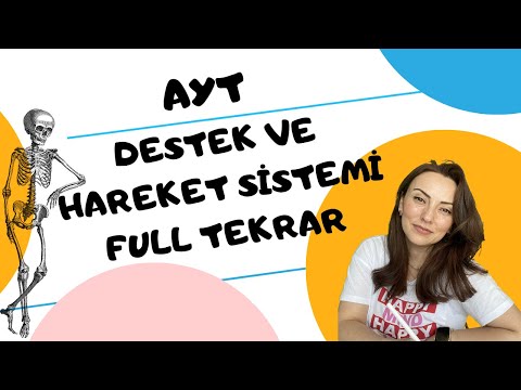 40 Dk' da AYT Destek ve Hareket Sistemi Hızlı Tekrar