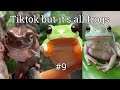 Tiktok but its all frogs 9