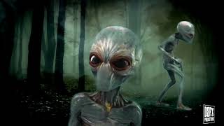 Busted Guts - Swampcrust