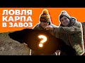 Карпфишинг в завоз первый опыт | Удалось ли уйти от 0? | Озеро Плитница