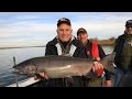 Hanford Reach Fall Chinook Fishing