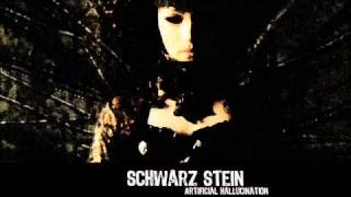 Schwarz Stein - Emergence of Silence