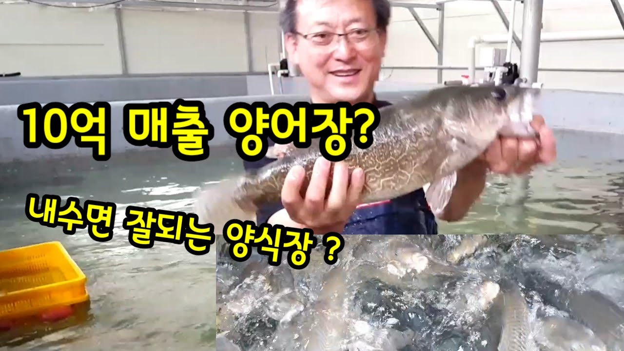 양어장 꿈이 있다면. 내수면 양어장 종류와 양식 방법 - YouTube