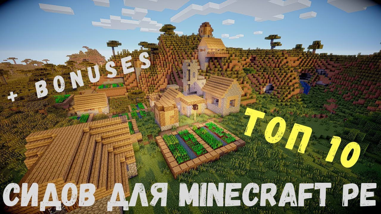 ТОП 10 СИДОВ НА ДЕРЕВНИ В MINECRAFT PE 0.14.0 | + 2 БОНУСА