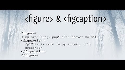 Figure & Figcaption tag Html-5 Tutorial asad shaikh coding