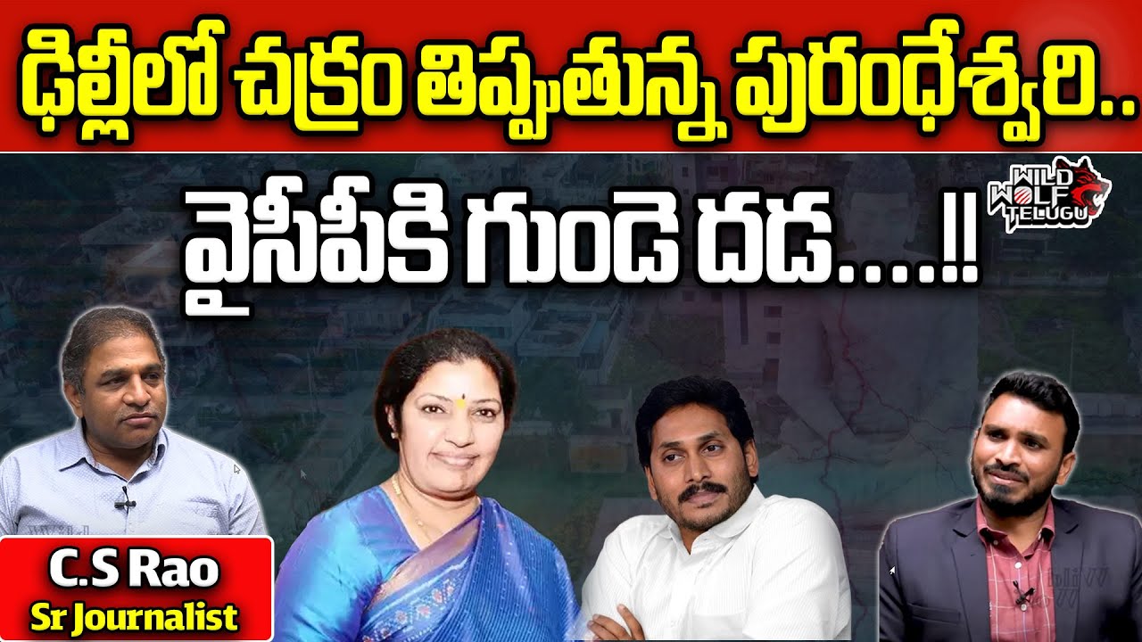 AP BJP Chief Purandeswari Delhi Tour | CM Jagan | Chandrababu | AP Politics | Wild Wolf Telugu