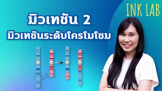 🧬โครโมโซมและสารพันธุกรรม 5 : มิวเทชันระดับโครโมโซม [Biology#34]