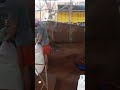 produksi pupuk kompos