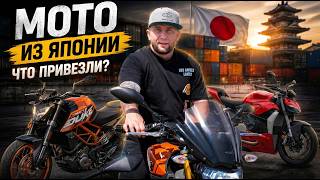 Ducati V2, Harley V-ROD, MT-09 и Ninja 400 | Какой мотоцикл привезти из Японии?
