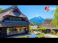 Fuji Five Lakes Travel Guide - Best Views of Mount Fuji | Yamanashi, Japan Travel
