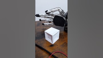 Nova The Wild Dog Synth: Servo Controlled Hand #robot #engineering  #furry #3dprinting