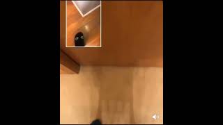 iT iS sCiEnTiFiCaLlY pRoOvEn ThAt YoUr BrAiN wOn'T lEt YoU sTuB yOuR oWn ToE