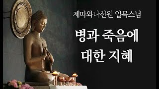 병과 죽음에 대한 지혜ㅣ일묵스님ㅣ제따와나선원 2021.11.03