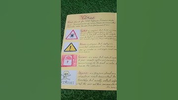 computer project virus and antivirus