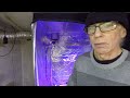 Home Grow S1|E30 Planting Seedlings.