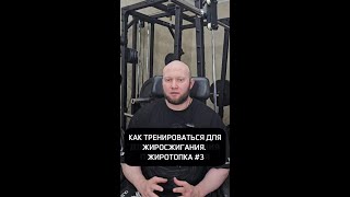 Как тренироваться для жиросжигания. Жиротопка 3. Отрывок 27 сек