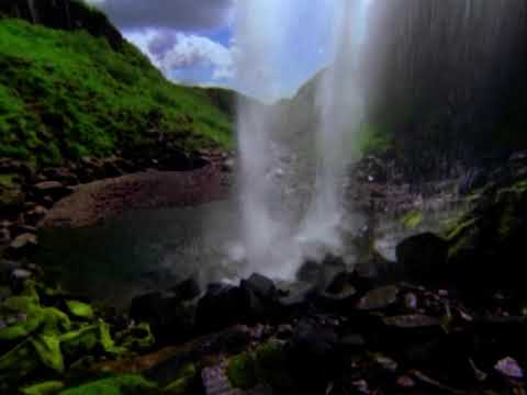 Oliver Shanti Friends Movie