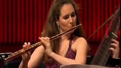 Antonio Vivaldi: Concerto for Flute and Orchestra No.2 in G Minor,OP.10 , "La Notte" Dora Seres